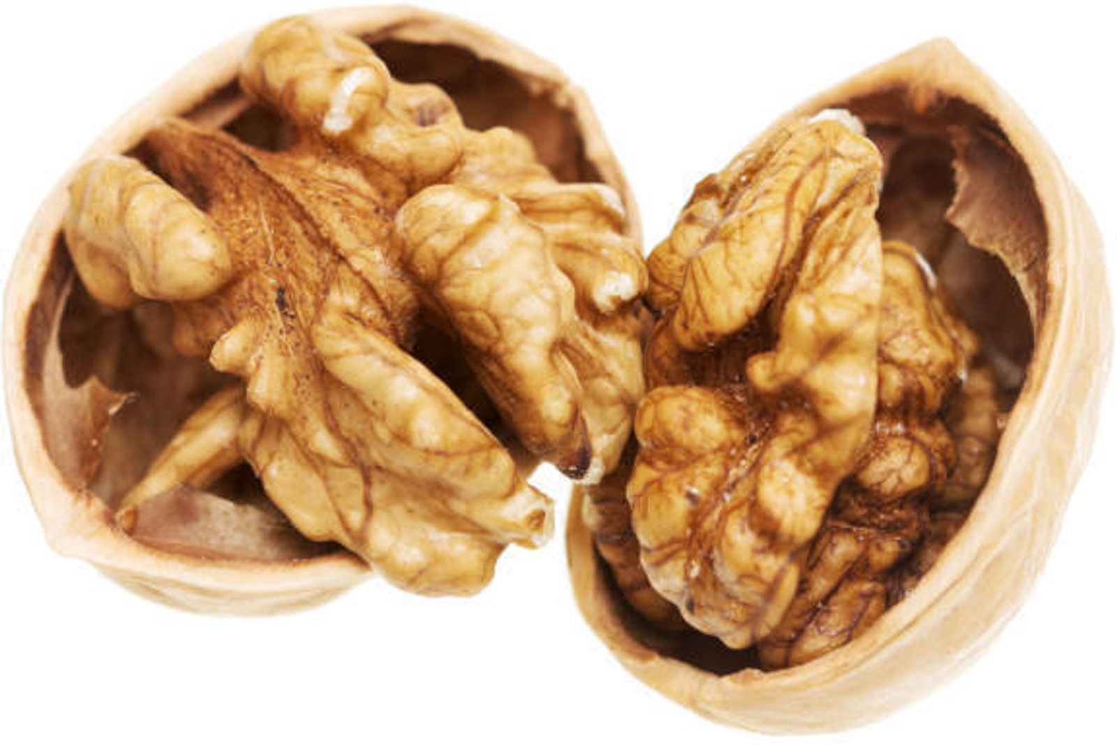 Walnut In Shell 1Kg