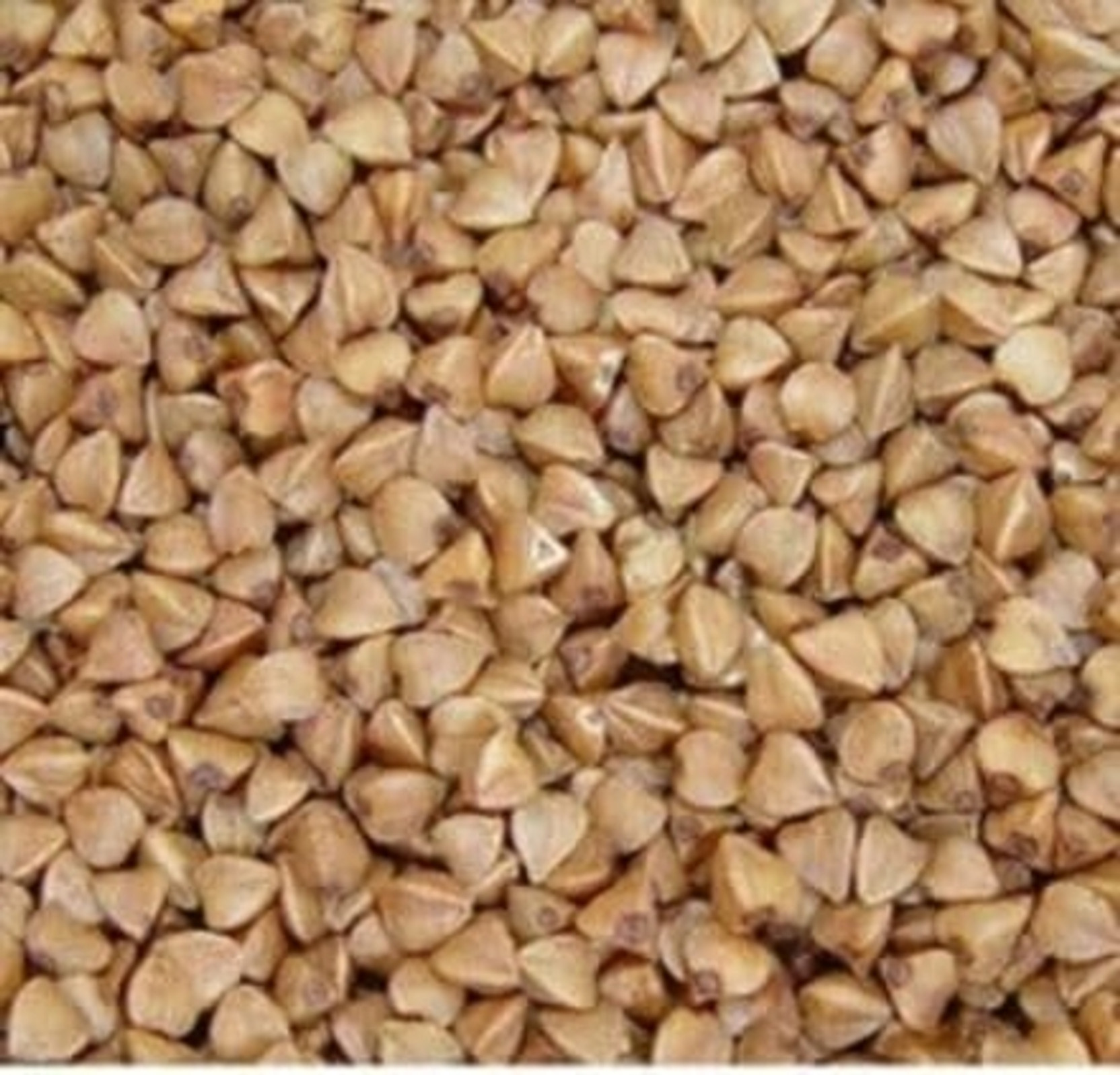 nutri petals Buckwheat Seeds 1 Kg , Kuttu Giri | Gluten Free Buckwheat Millet Buckwheat Seeds