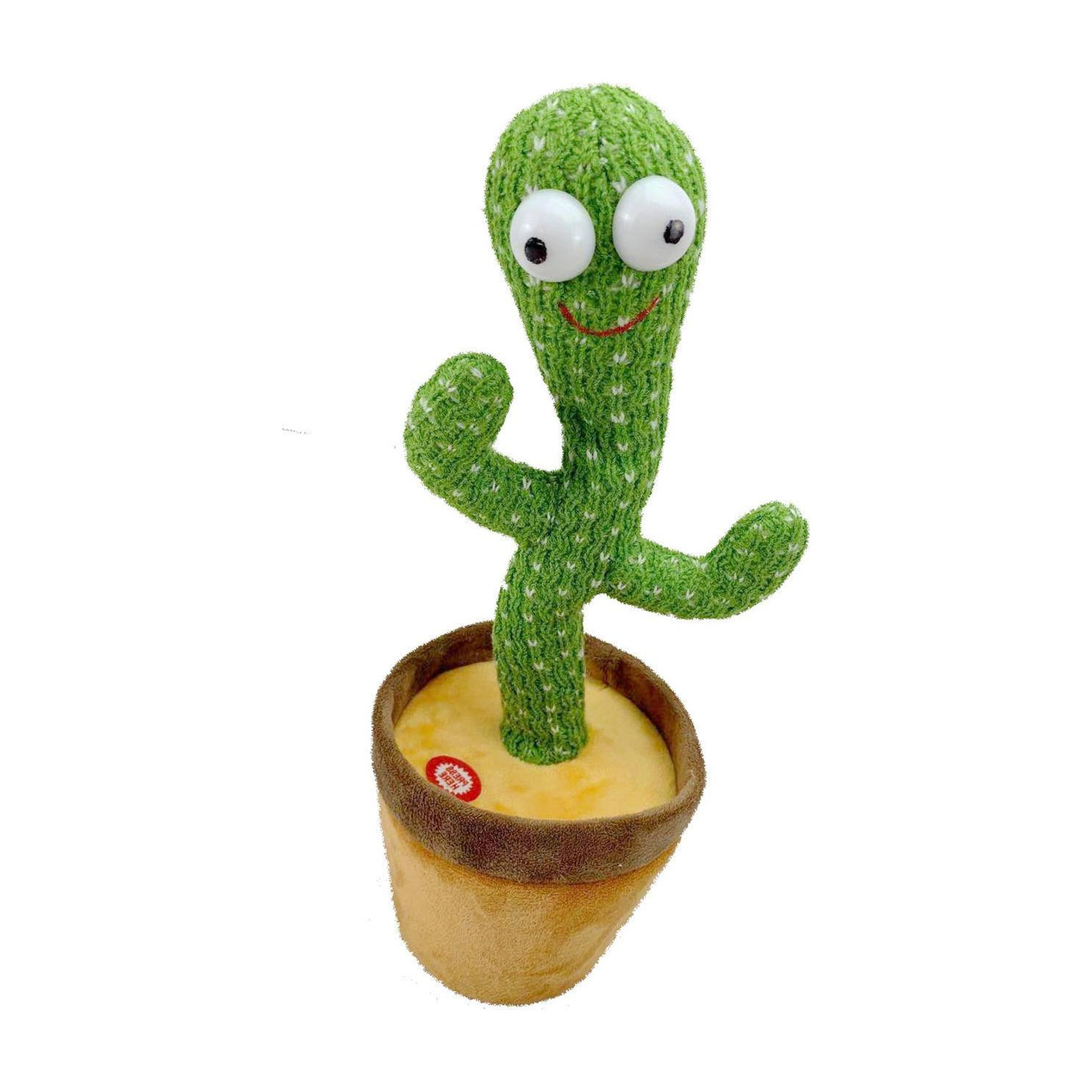 Dancing Cactus