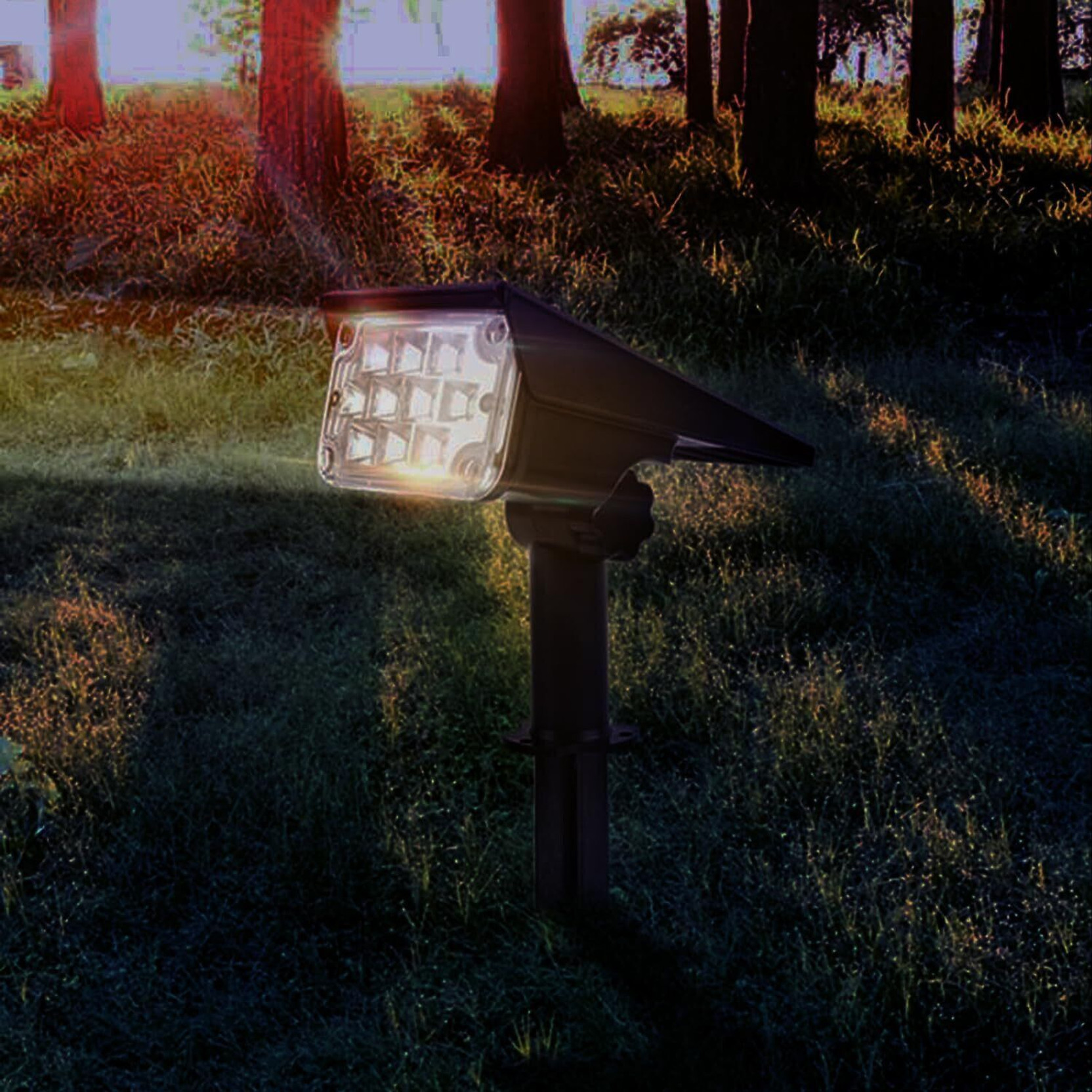 GIGALUMI Outdoor Waterproof Solar Garden Lights, 12 Pack Cold White