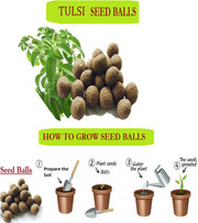 where to buy soilless potting mix 100% Organic Indoor Plant Potting Soil Mix  Nutrient Rich, Well-Draining  Living Soil Blend