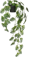 IKEA FEJKA Artificial plant with wall holder, in/outdoor/green Wild  Artificial Plant Price in India - Buy IKEA FEJKA Artificial plant with wall  holder, in/outdoor/green Wild Artificial Plant online at Flipkart.com