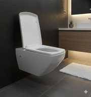 Jaquar CONTINENTAL Range Rimless Wall Mount WATER CLOSET / TOILET BOWL ...