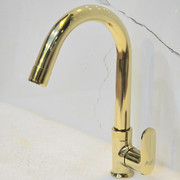 Zome F0980 PROXY SWAN NECK, Swinging Spout, Brass Finish, 360