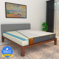 Sleepycat Bed Mattress Buy Sleepycat Bed Mattress Online at Best