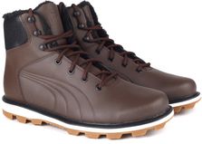 Desierto fun puma sale