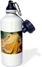 Bearded dragon water bottle clearance