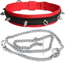 Puppy belt and chain outlet