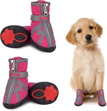 Dog shoes flipkart sale