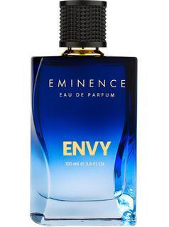 Envy Explorer Perfume - 100 ml For Men