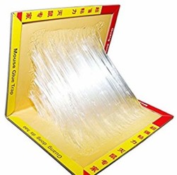 Intruder Speed & Catchy Mouse Glue Trap Pad - Non Toxic, No Smell  (Eco-Small, Pack of 4) Snap Trap Price in India - Buy Intruder Speed &  Catchy Mouse Glue Trap Pad 