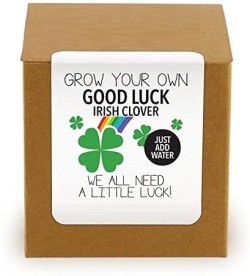 VIDISHAS HORTICULTURE 65pcs Imported LUCKY CLOVER Plant Seed Price in India  - Buy VIDISHAS HORTICULTURE 65pcs Imported LUCKY CLOVER Plant Seed online  at