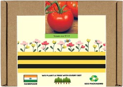 CYBEXIS Hardy Blue Tomato Seeds1000 Seeds Seed Price in India - Buy CYBEXIS  Hardy Blue Tomato Seeds1000 Seeds Seed online at