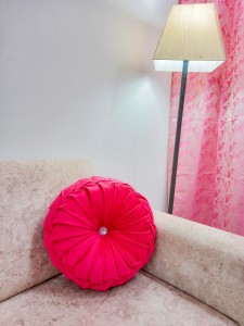 Plush Soft Eco Friendly Multicolor Donut Shape Cushion at Rs 460 in Noida