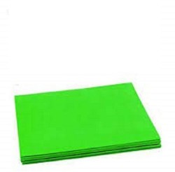 Eclet 40 pcs light green Color Sheets (180-240 GSM) Copy  ouble Sided CoPrinting Papers /Art and Craft Paper A4 Sheets Dlored  Origami, Office Stationery (Dark Green) A4 120 gsm A4