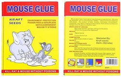 Intruder Speed & Catchy Mouse Glue Trap Pad - Non Toxic, No Smell  (Eco-Small, Pack of 4) Snap Trap Price in India - Buy Intruder Speed &  Catchy Mouse Glue Trap Pad 