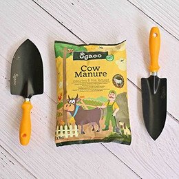 Where to Buy Garden Tools in Chennai: Top Local Stores