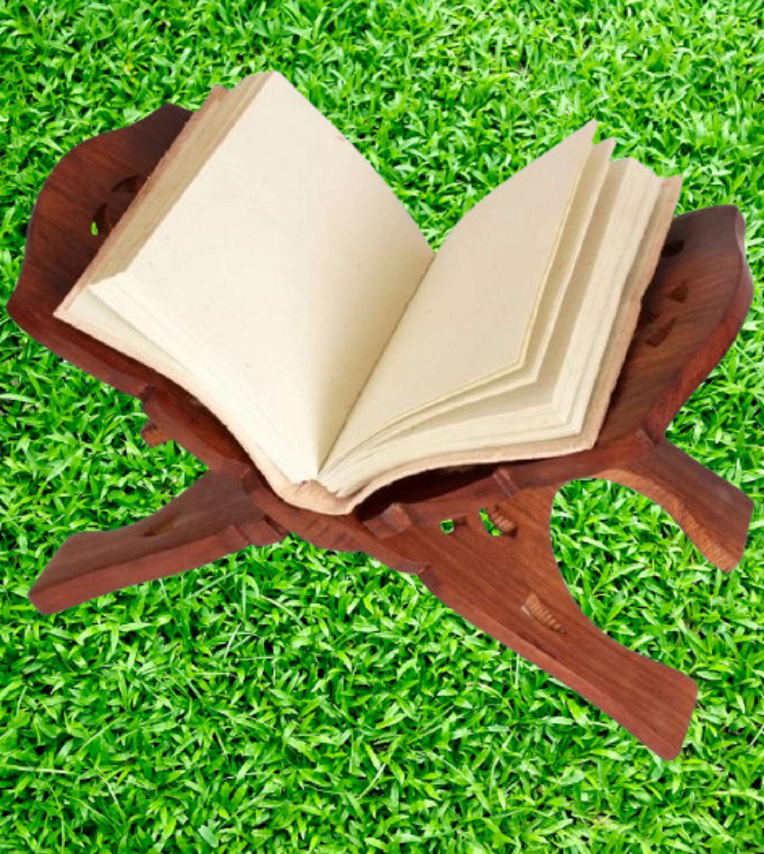 Image Placeholder