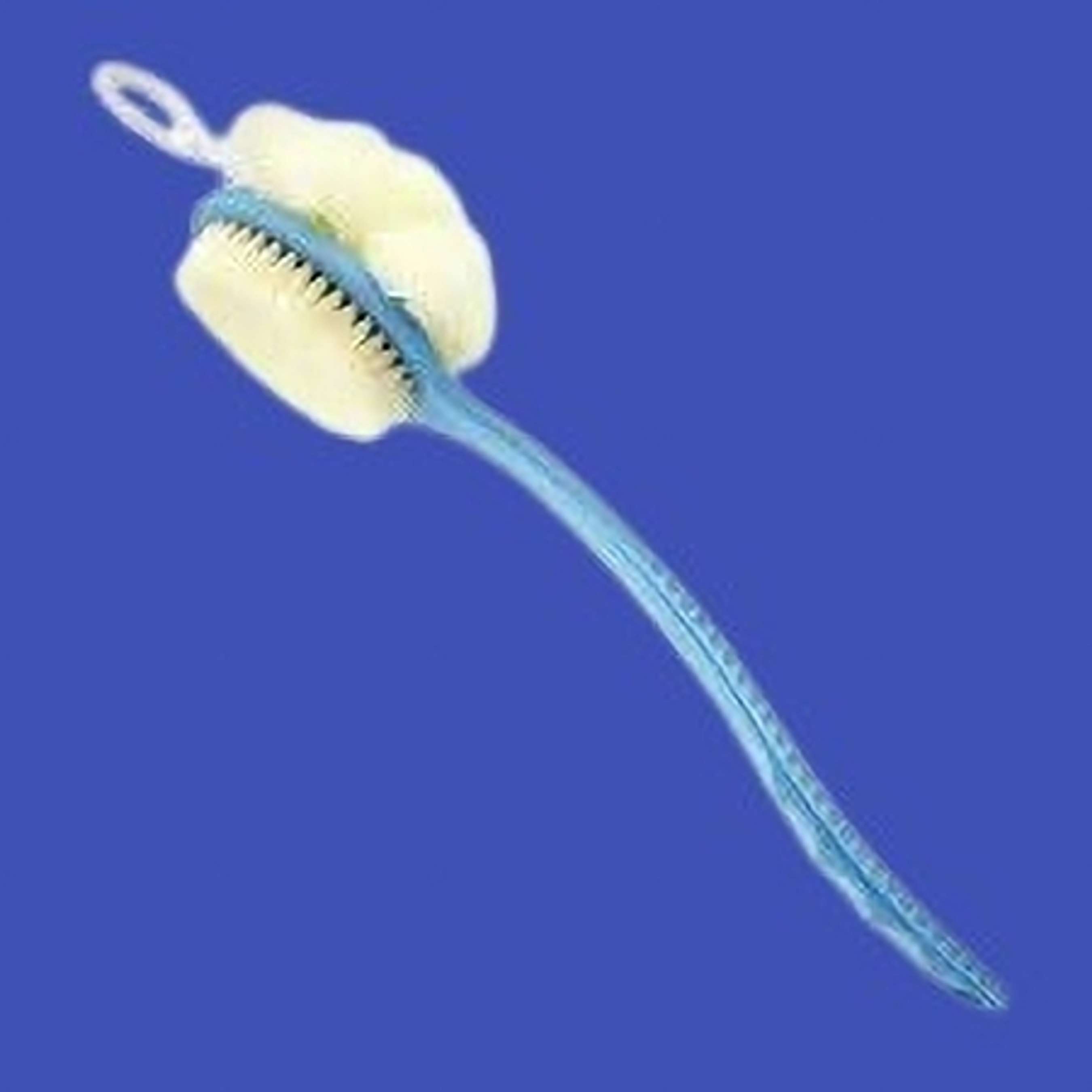 Image Placeholder