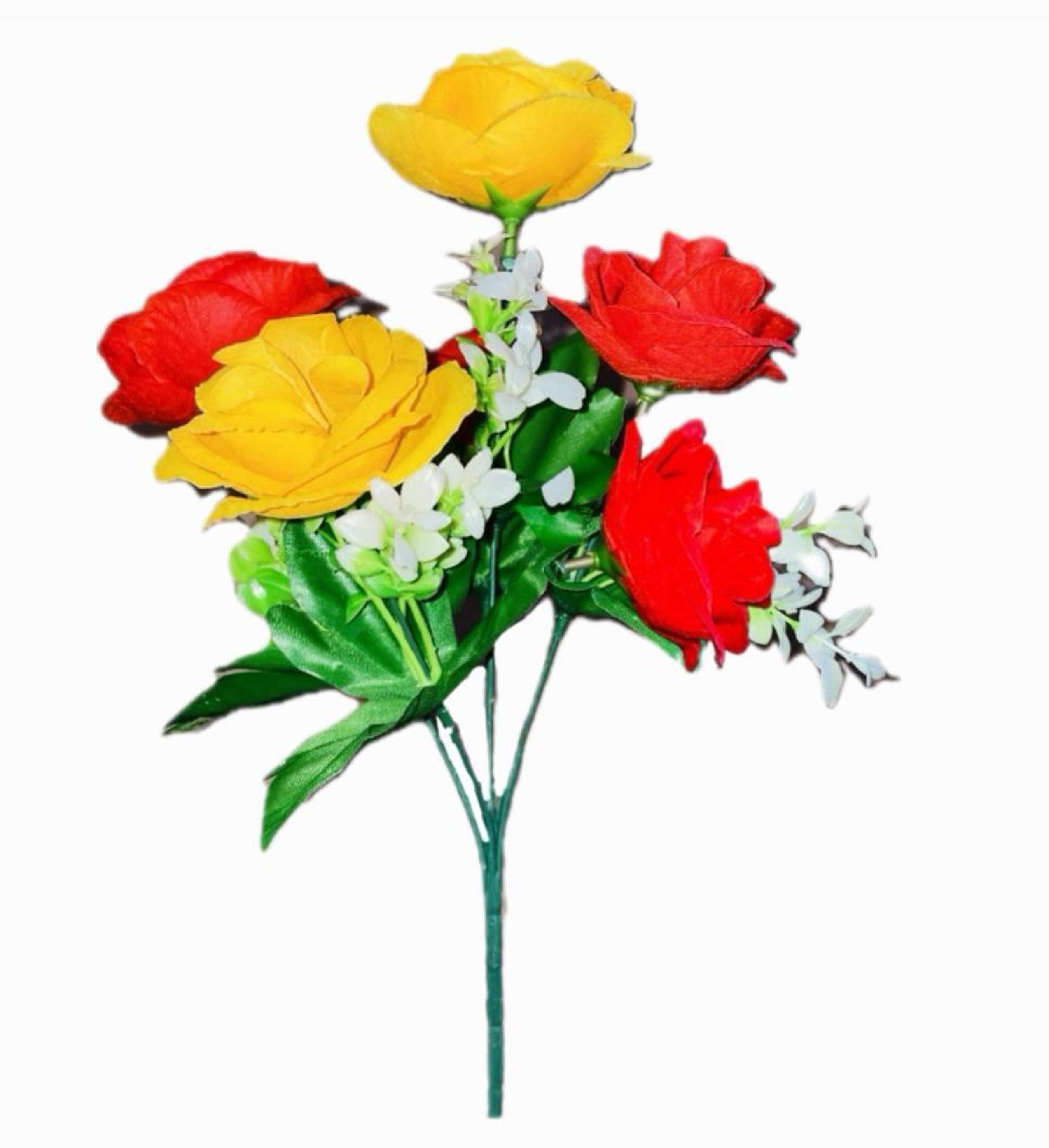 Image Placeholder