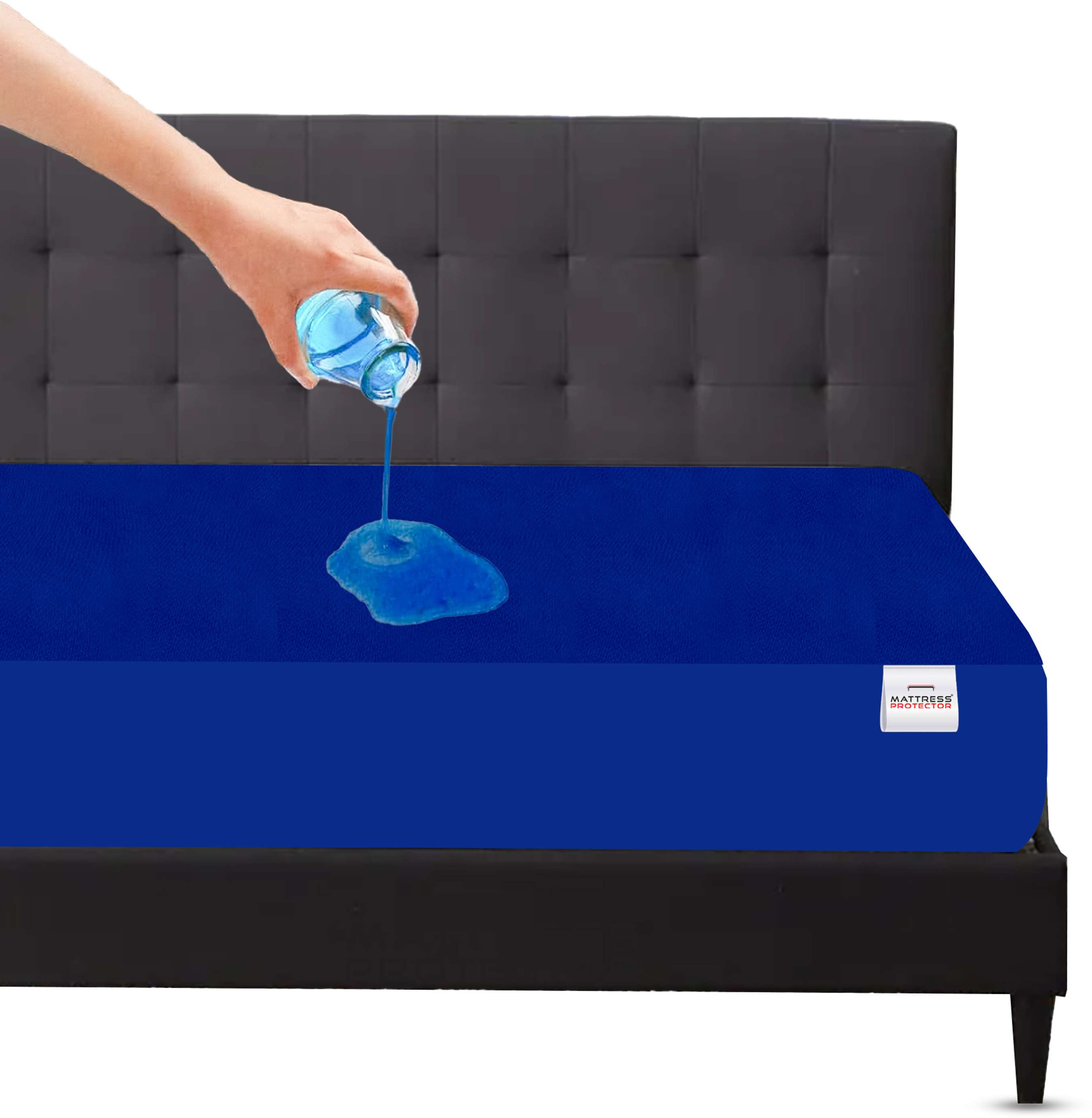 Image Placeholder