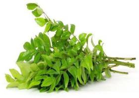 Curry Leaves 100 g