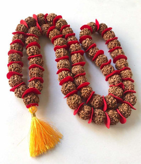 MNA Rudraksha Mala (54+1) Big Size Kantha Mala/ Nepali Mukhi