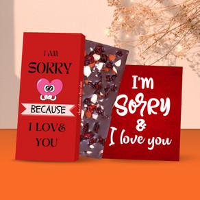 Cute Sorry Gifts For Boyfriend Saugat Traders Sorry Gift For