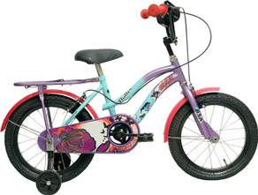 Kids Cycle Bsa Disney Princess Cycle BSA CHAMP CINDRELLA 20 INCH