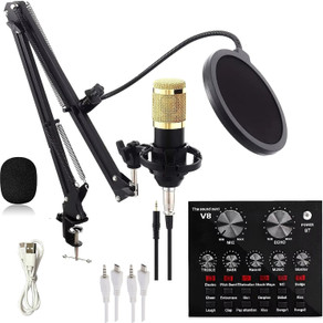 MIC JACK PRODUCTION/LP3枚セット ZHIZUKA BM800 Condenser Microphone Set V8 Sound Card Mixer