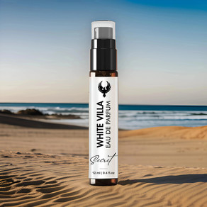 Buy SUGACCI VIVO AND LA Eau de Parfum 100 ml Online In