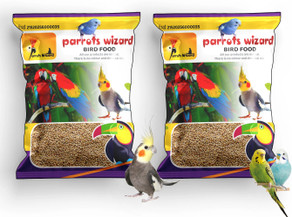 Parrots Wizard Sun Conure Parrot kg Dry Adult, Young, Senior