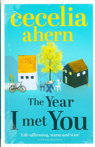 THE MET YEAR I MET YOU