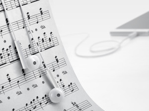 Honor classic online earphones am115