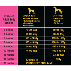 Doberman puppy online feeding chart
