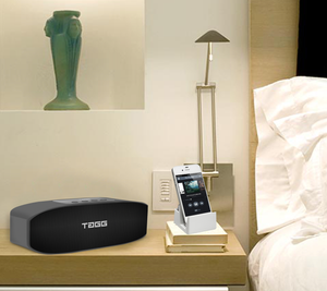 Tagg loop 2025 bluetooth speaker