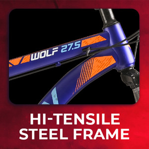 Gw zebra 27.5 store