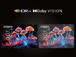 Coocaa Frameless 138 cm (55 inch) QLED Ultra HD (4K) Smart Google TV with HDR 10+, Dolby Vision, Dolby Atmos & Eye Care 3.0 Technology Online at best Prices In India