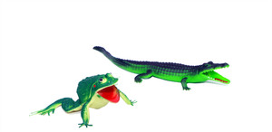 Global Gifts Bath Toy Combo Wild Crocodile and Crazy Frog Bath Toy - Main Image