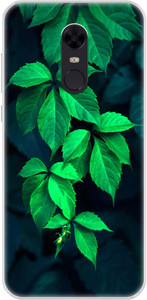 Flipkart SmartBuy Back Cover for Mi Redmi Note 5