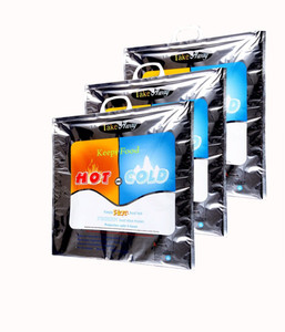 TAKE AWAY HOT AND COLD BAGS Plastic Cooler Bag