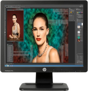 HP P17A F4M97AA    17インチモニター HP ProDisplay P17A 43.18 cm (17 inch) SXGA LED Backlit