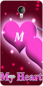 Dreamcase Back Cover for VIVO Y21L