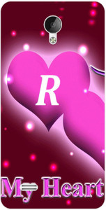 Dreamcase Back Cover for VIVO Y21L