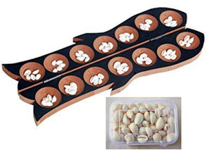 Palanguli Shell Jayam Pallankuzhi with shells and Box Educational Board Games ...
