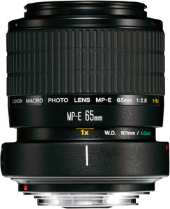 Canon MP-E65mm f/2.8 1-5x Macro Photo Macro Prime Lens - Canon