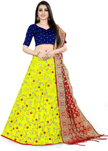 MR Y Embroidered Semi Stitched Lehenga Choli
