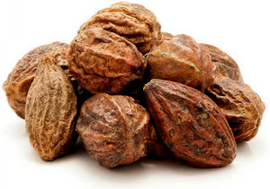 Graines De Terminalia Chebula (Haritaki) - Kali Harad - 250 Grammes - Haute Qualité, Facile à Cultiver - 1