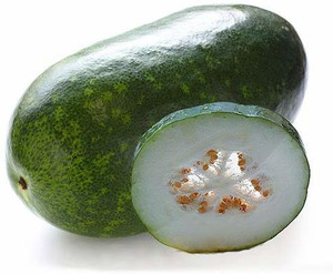 ガチョ　gacho gyaromi Trothic Gardens Ash Gourd - ChalKumro Hybrid Vegetable Seed