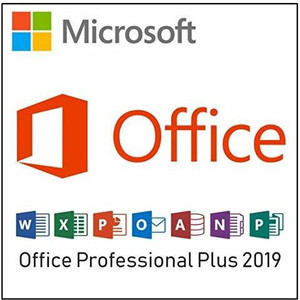 MICROSOFT Office 2019 Professional Plus License Product Key Card Life ...